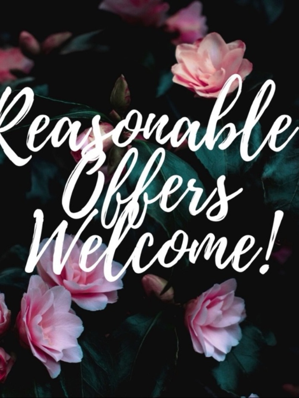 Accepting all reasonable offers! Super Fast shipping!